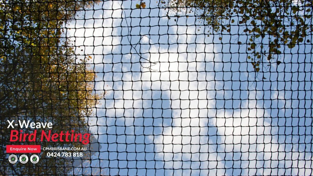 Pigeon Netting Australia